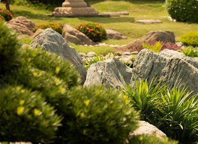 Фото ландшафтного дизайна участка