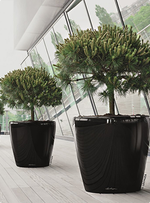 Кашпо (с которыми мы работаем)