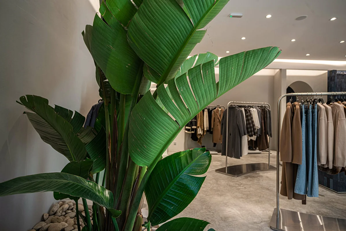 Магазин цветов