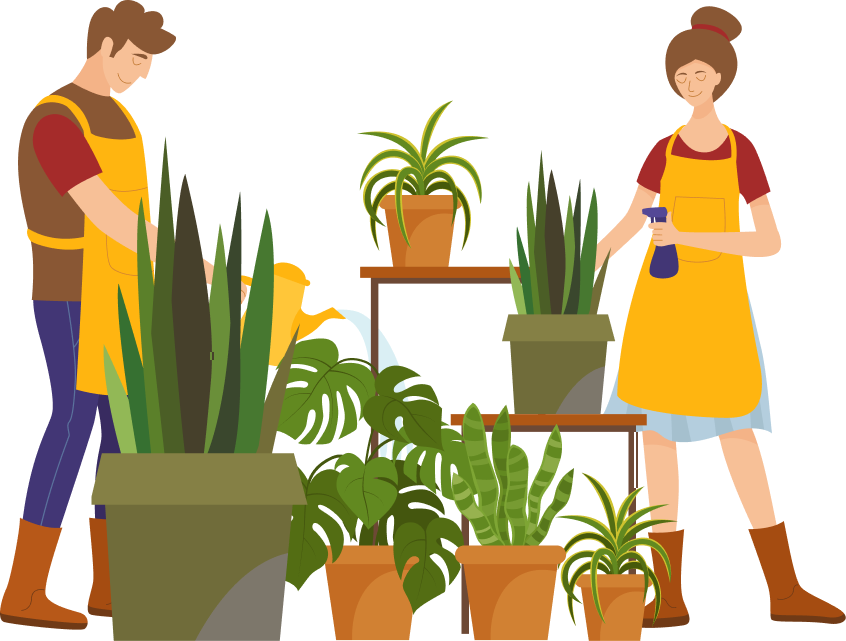 Профессиональный уход за растениями